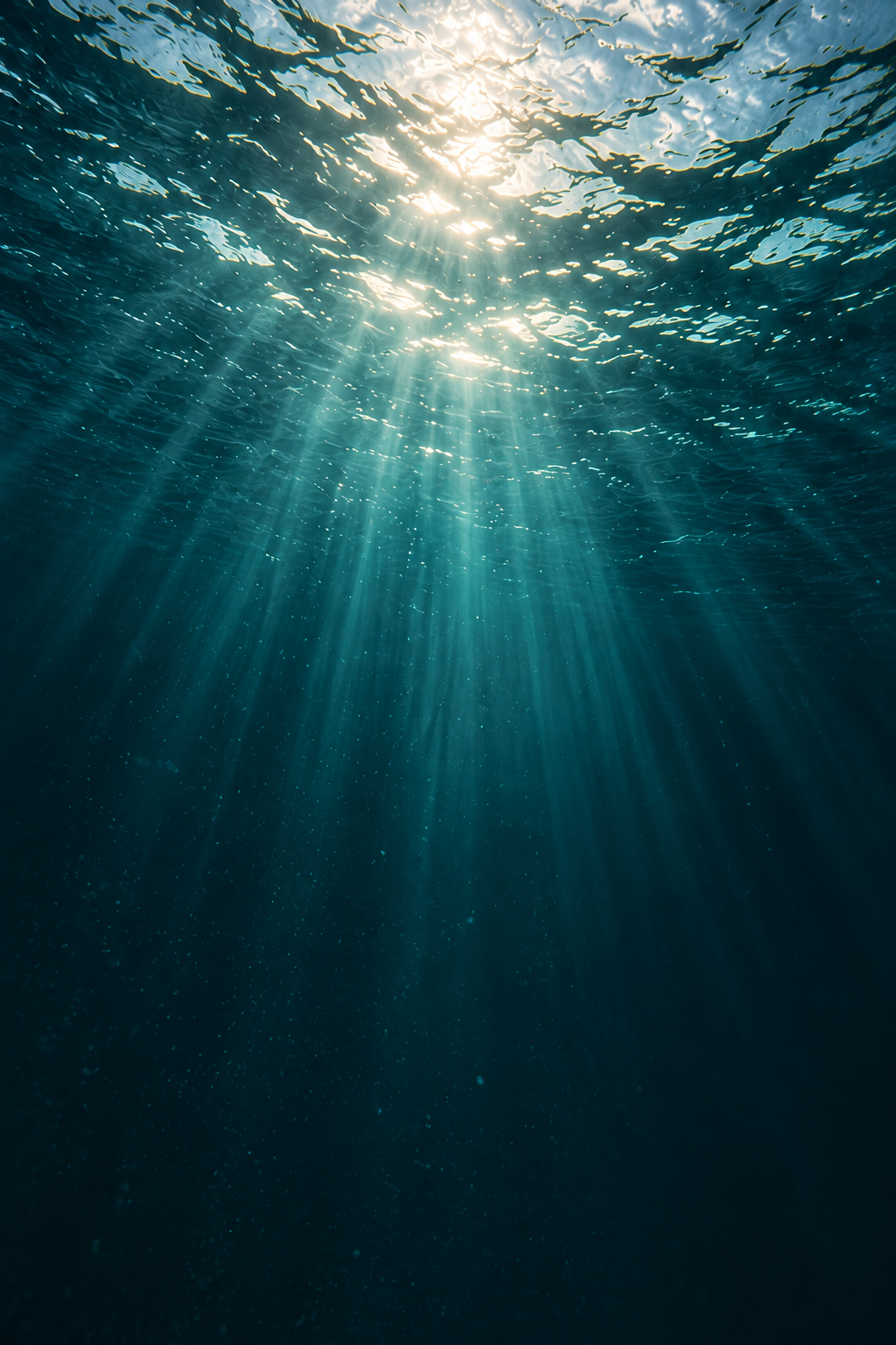 Sunlight reaching beneath the surface of deep teal water